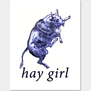 hay girl. Posters and Art